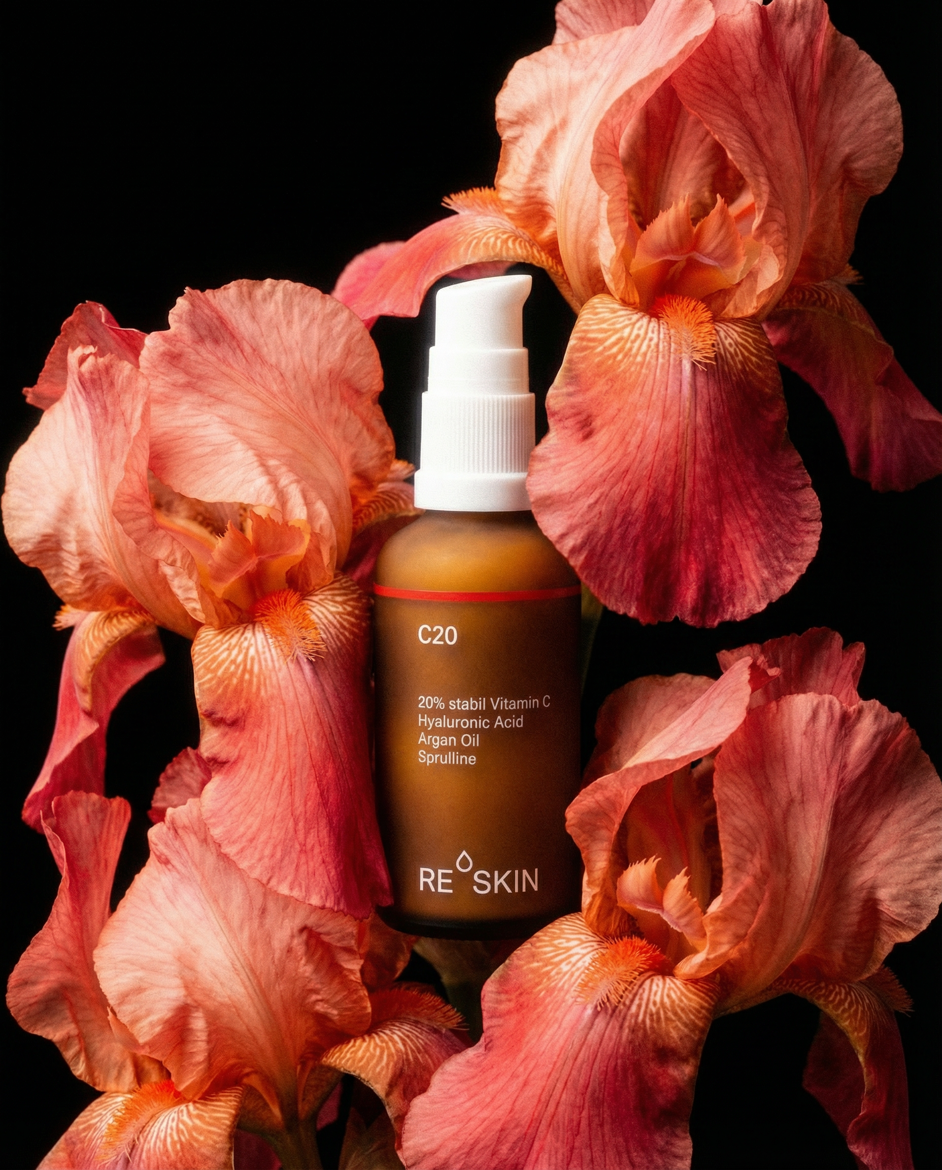 C20_embraced_by_luminous_coral-to-crimson_bearded_iris_blooms_against_pure_black__petals_cascading_like_ru...._Intricate_textures_reveal_delicate_veining_and_fuzzy_throat_details__cre.png