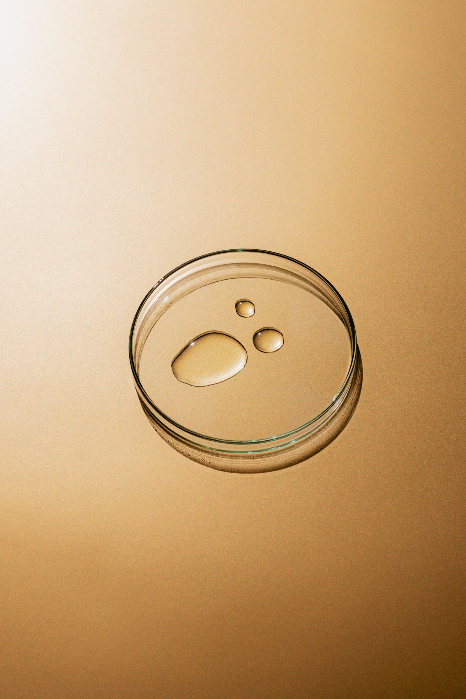 Peptide – Die Zell-Architekten
